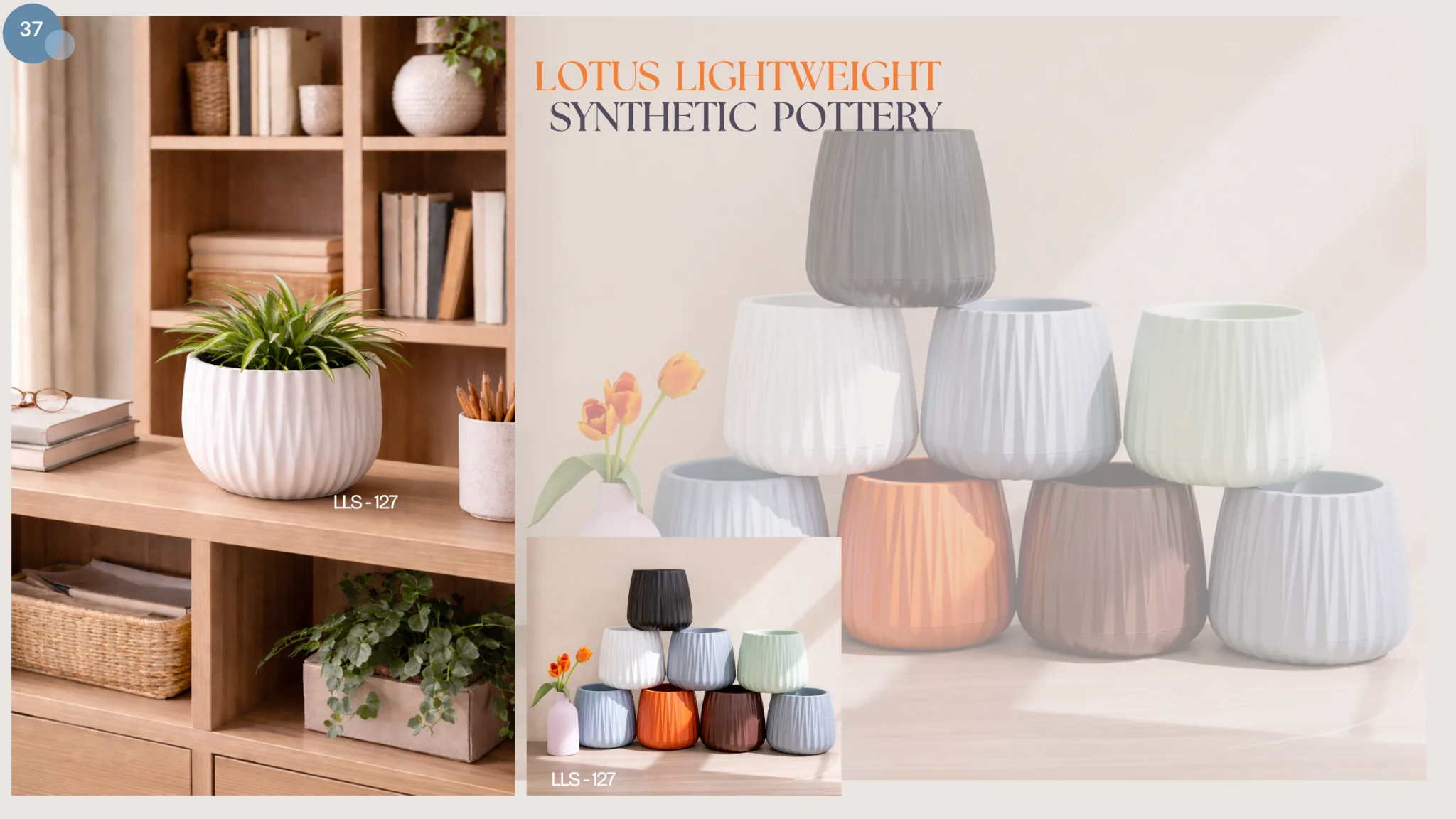 LotusLight collection catalog introduction